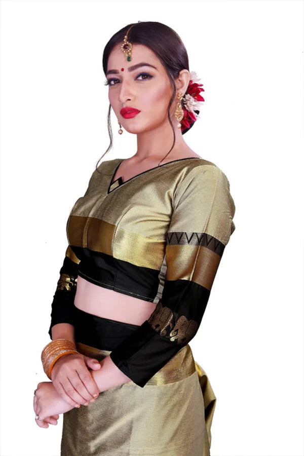 CHIKU & BLACK SOFT COTTON SILK ROYAL PROCESSION DRAPE SAREE